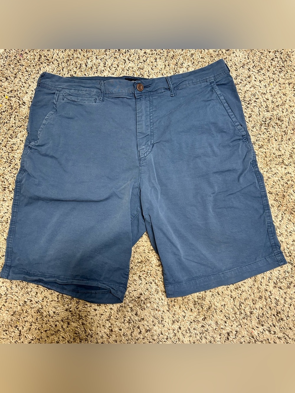 American Eagle Outfitters Men's Dark Blue Flat Front Shorts